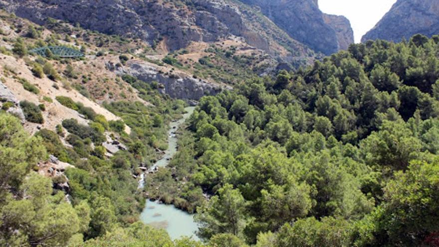 La Diputación presenta su mayor proyecto ambiental, el Corredor Verde del Guadalhorce