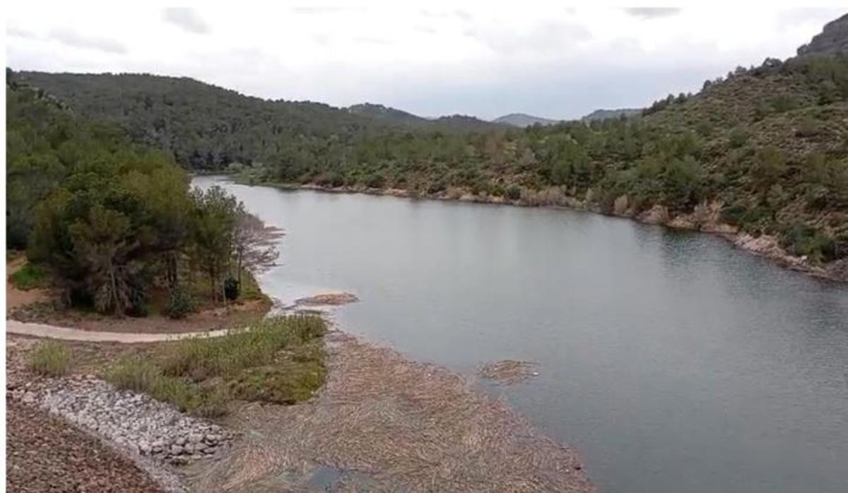 Camino de acceso a la obra inundado.
