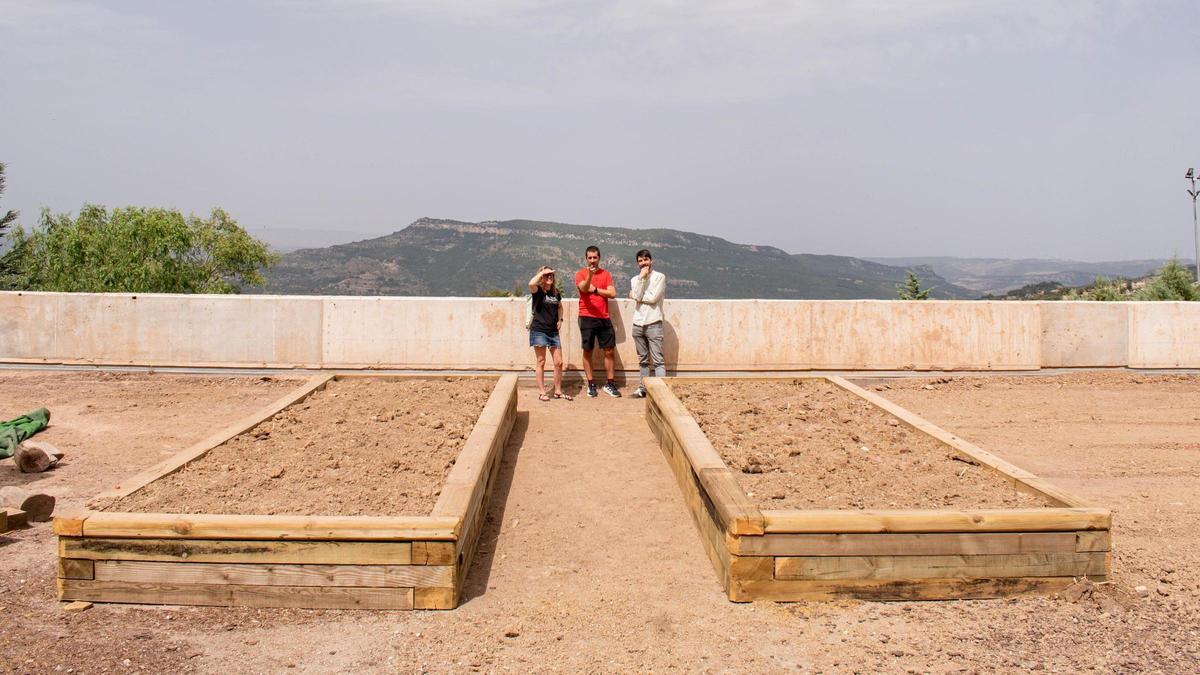 El CEIP Mare de Déu de Vallivana en manteniment