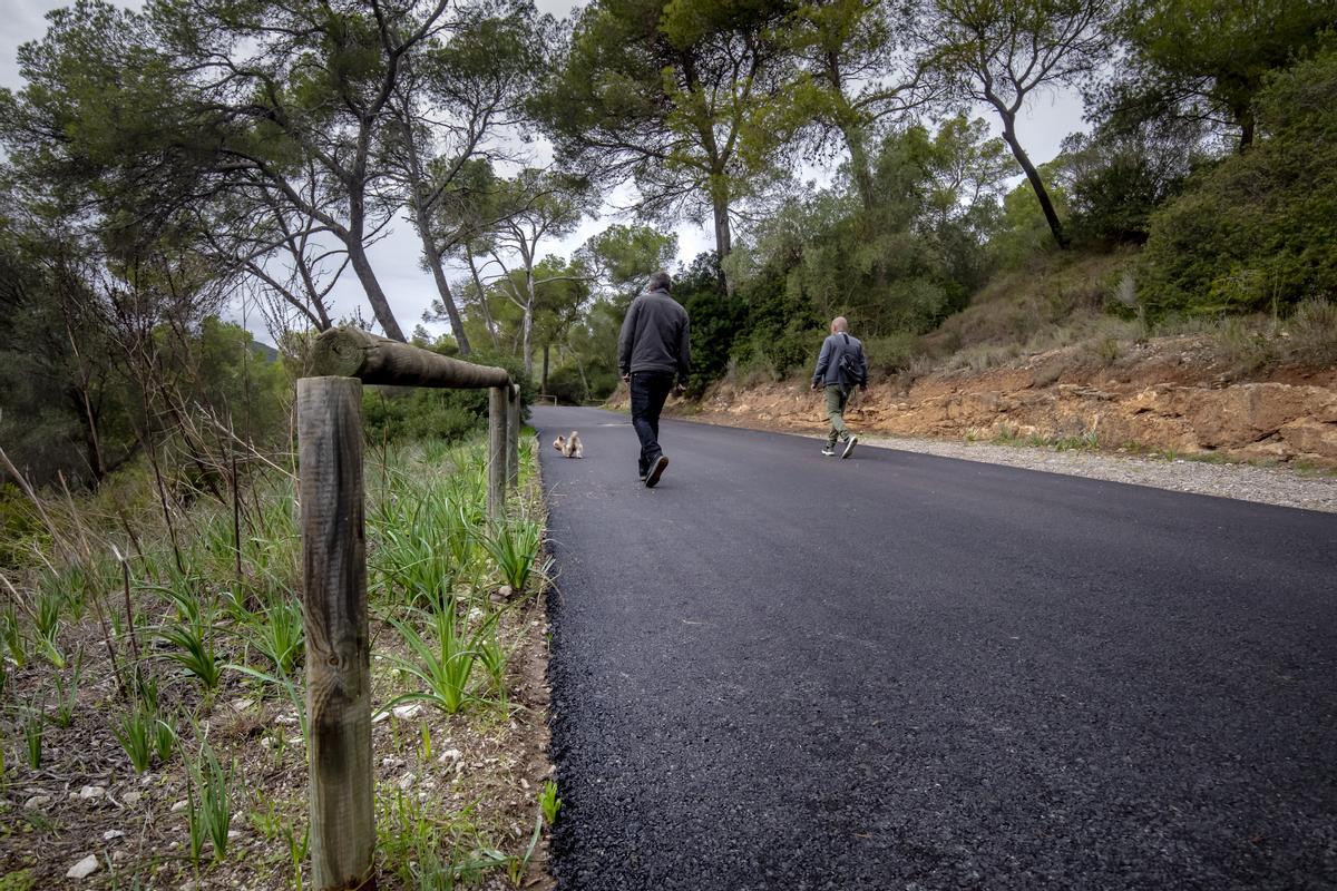 Las fotos del asfaltado del bosque de Bellver que indigna a ciudadanos y ecologistas Las fotos del asfaltado del bosque de Bellver que indigna a ciudadanos y ecologistas