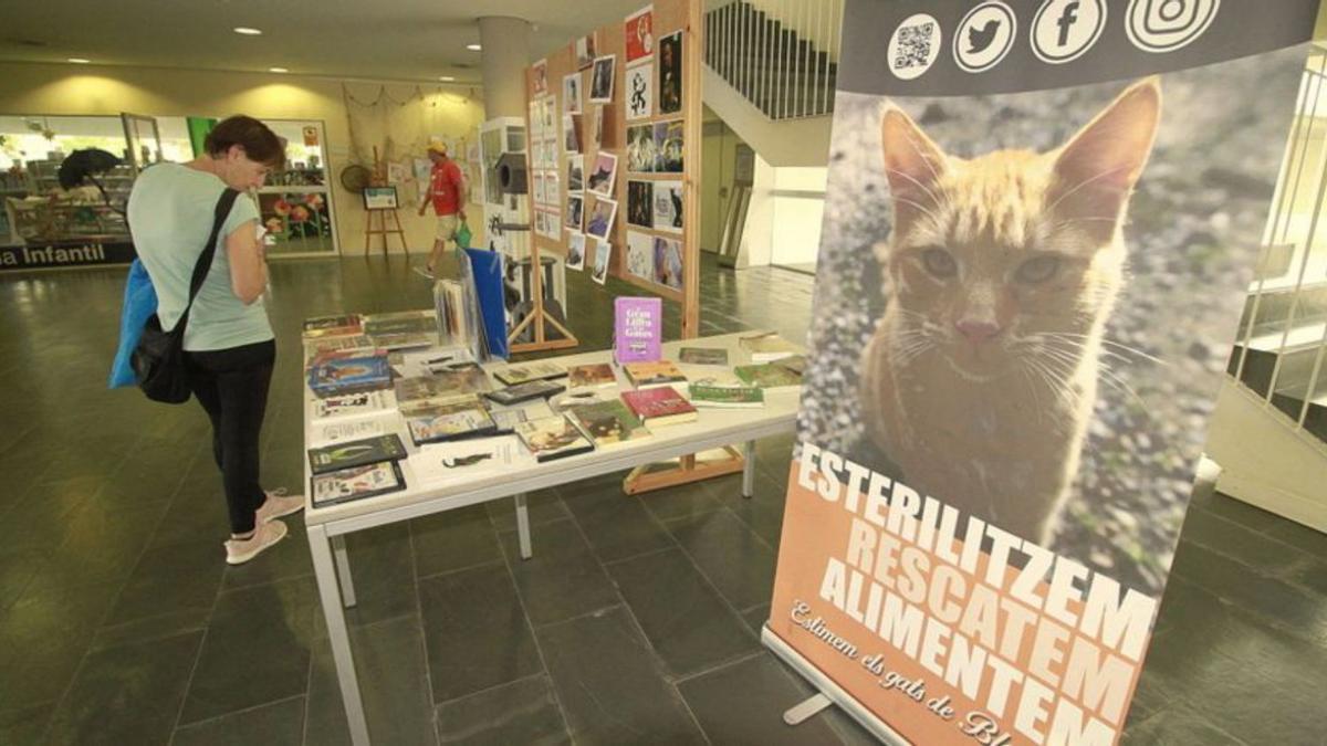 Exposició de Sa Gatonera a la Biblioteca Comarcal | QUIM LLORENS