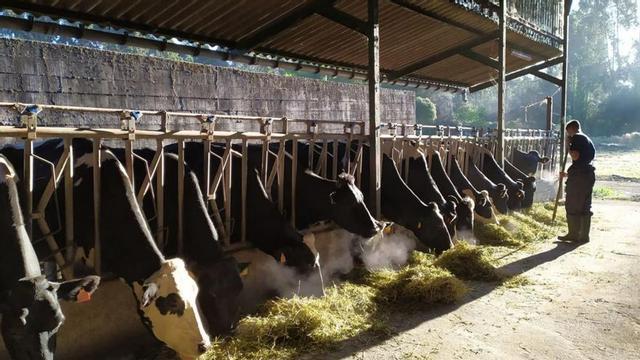 Conocimiento del medio ambiente para entrar al mercado laboral