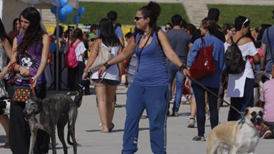 Asistentes a la feria en la pasada edición.