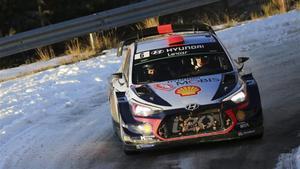 dani sordo