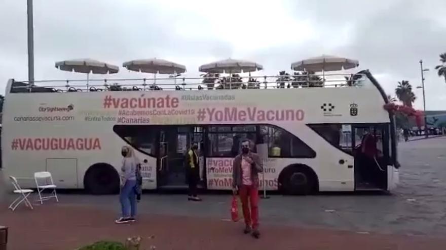 Una negacionista carga contra la vacuguagua en Las Canteras