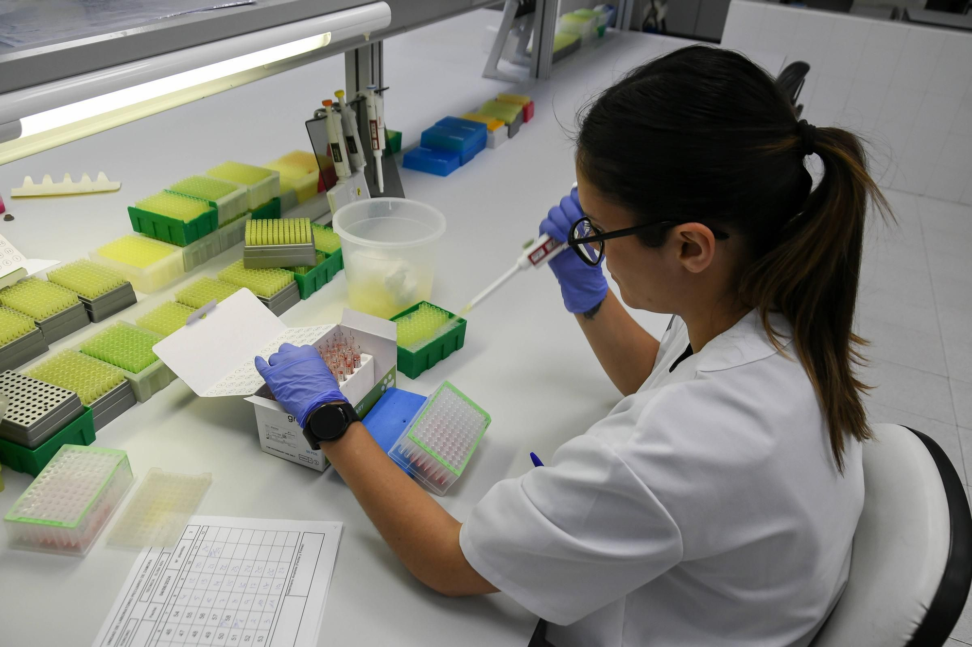 GALERÍA | Así trabaja el Laboratorio de Sanidad Animal de Zamora