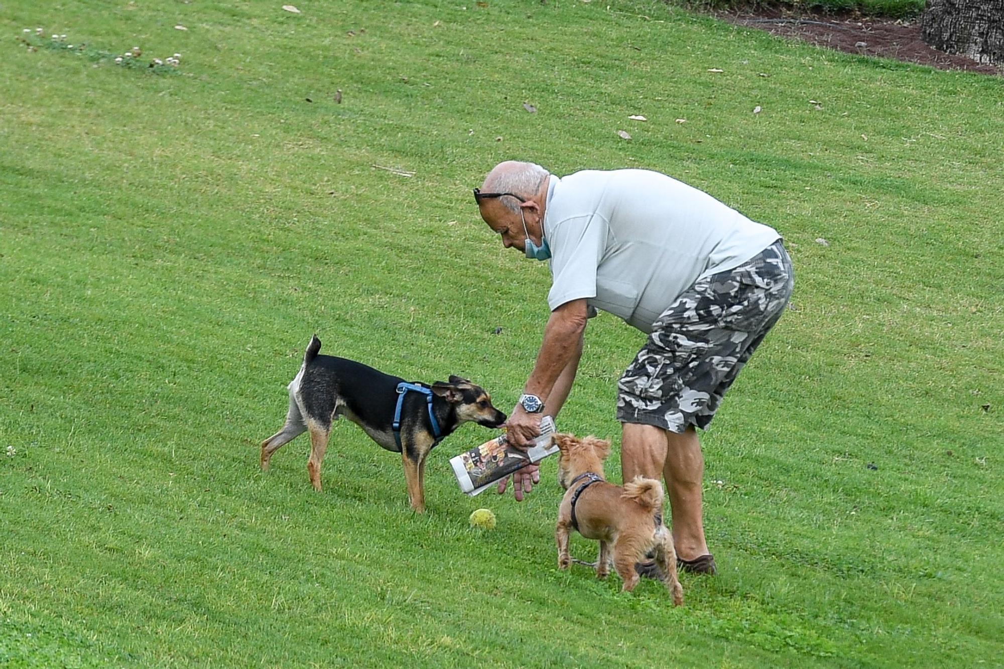 Jornada de domingo en el parque de La Ballena