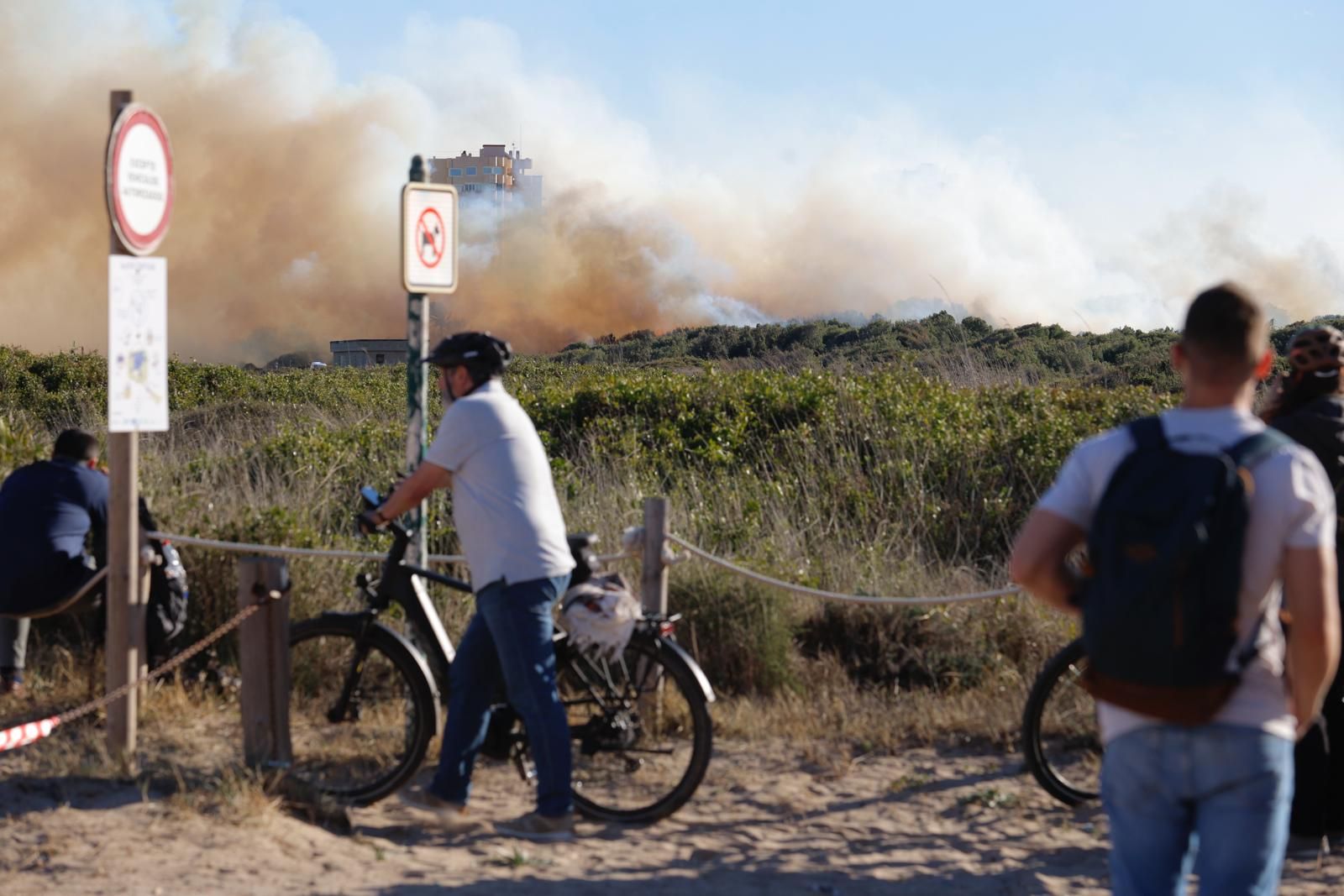 Declarado un incendio en el Saler