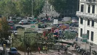 Muere una joven de 23 años en Madrid tras caer un árbol sobre un paso de peatones