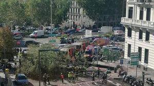 Imagen del árbol caído tomada desde un edificio cercano.