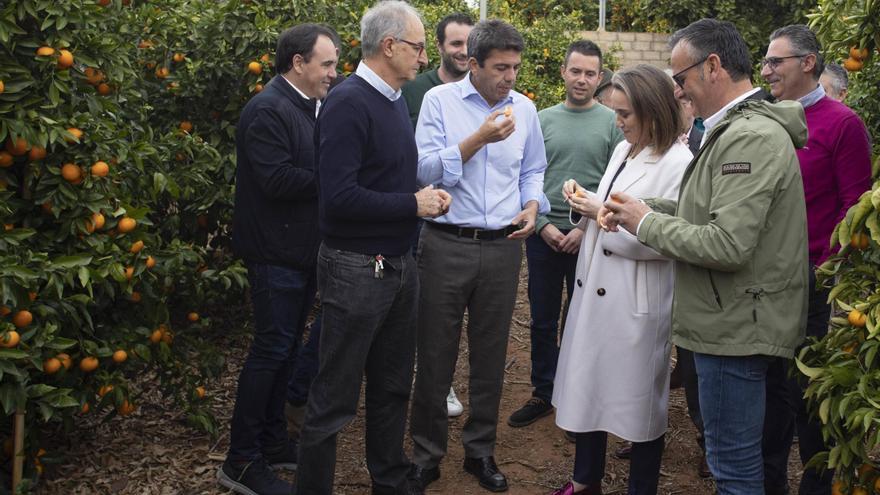 Cuca Gamarra y Mazón degustan mandarinas en Tous