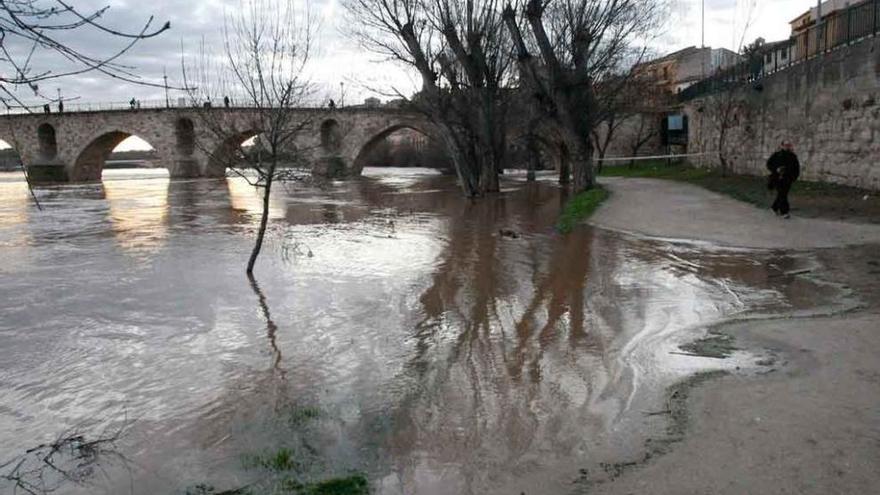 Aspecto del nivel del agua del Duero junto al Puente de Piedra.