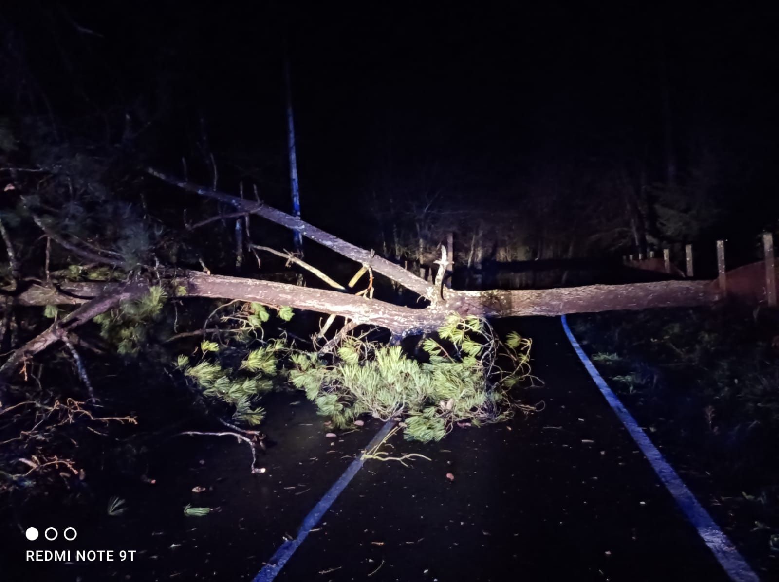 Reguero de incidencias en Lalín por el temporal