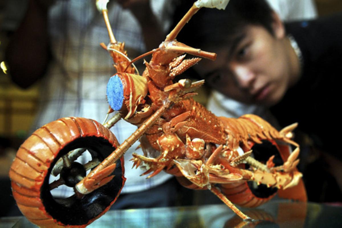 Un home observa les obres de l’artista taiwanès, Huang Mingbo, durant una exposició a Fuzhou (Xina).