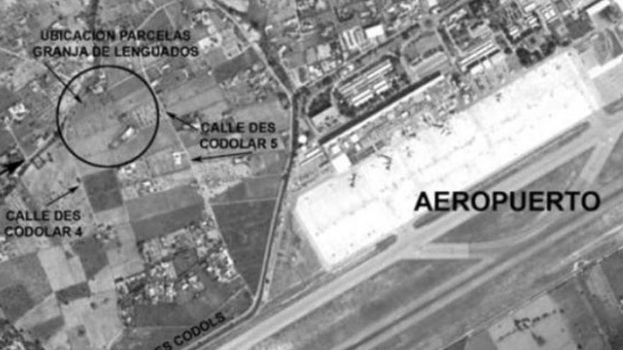 El entorno de los terrenos de la zona de es Codolar, próximos al aeropuerto, donde se proyecta la granja de lenguados. | D. I.