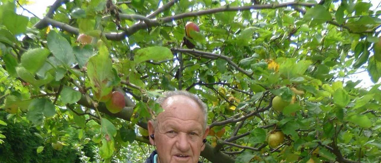 Juan Camino, con una caja de manzanas, ayer, en La Carrera.