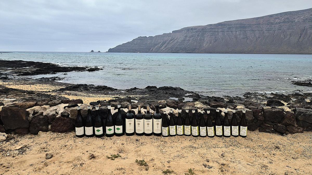 Cata de vinos entre amigos.