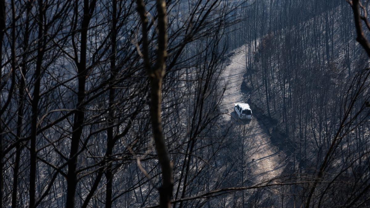 El incendio de El Pont de Vilomara deja un paisaje desolador de centenares de hectáreas quemadas