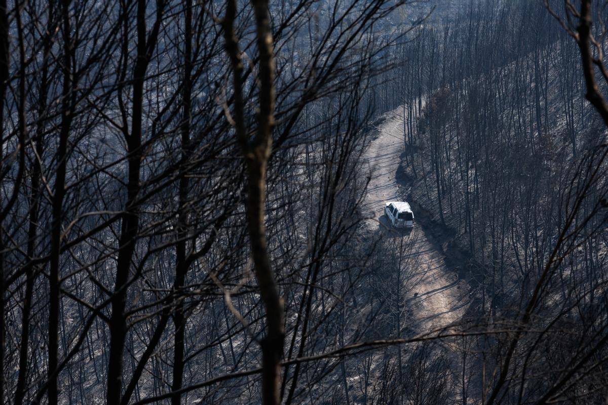 Incendi al Bages.