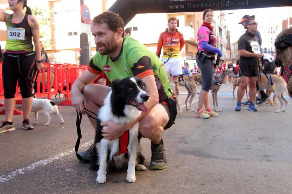 Carrera Alcalde de La Unión