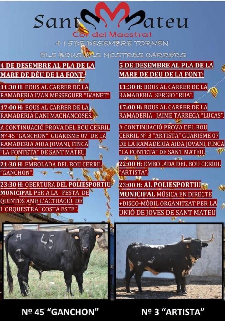 Los toros volverán a las calles de Sant Mateu el 4 y 5 de diciembre.