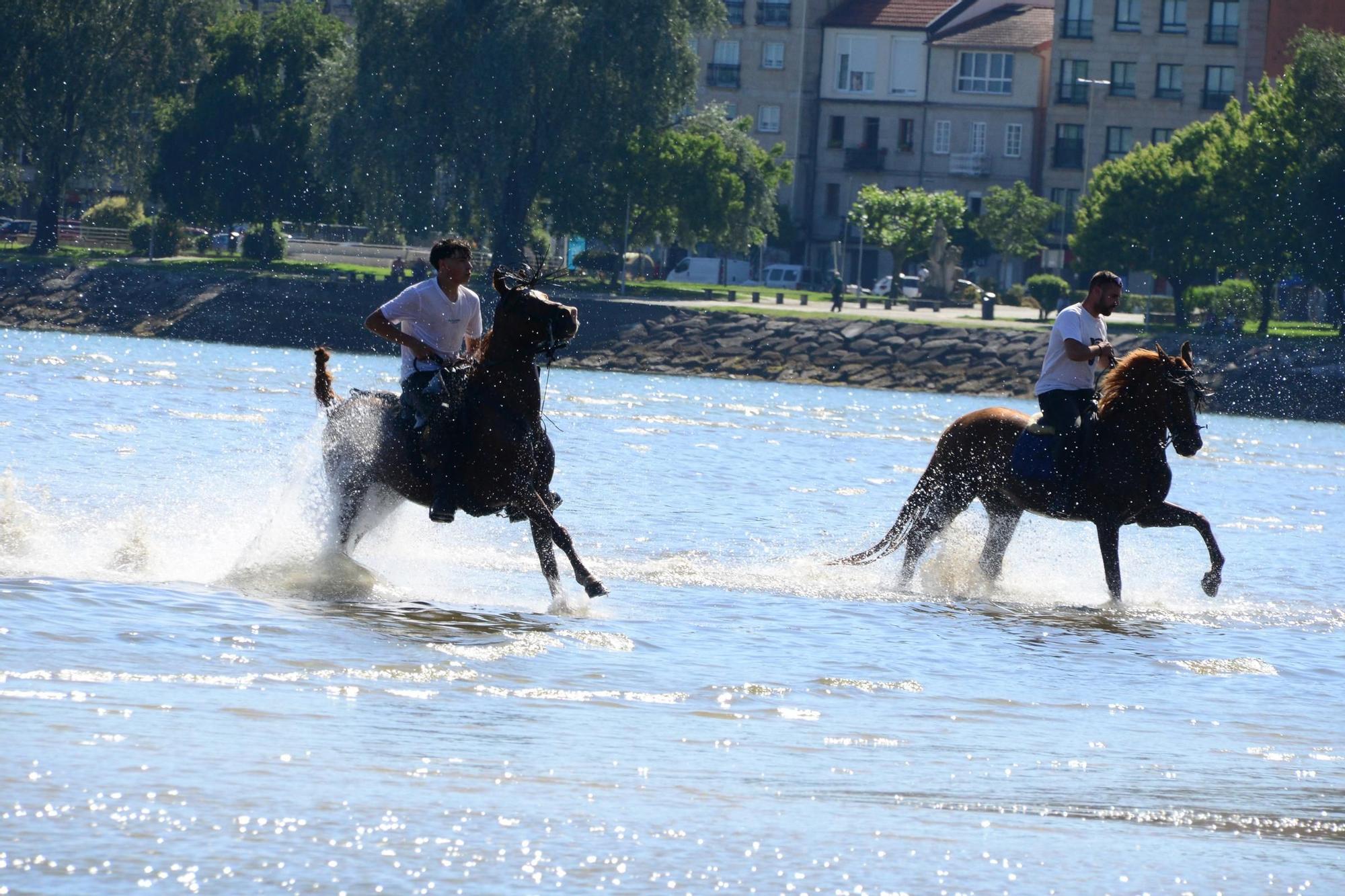 Una espectacular jornada a caballo por Moaña (I)