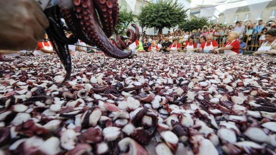 Preparación de la fiesta del pulpo de O Carballiño.