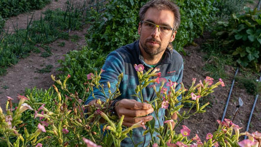 «Hem de produir per alimentar la població local»