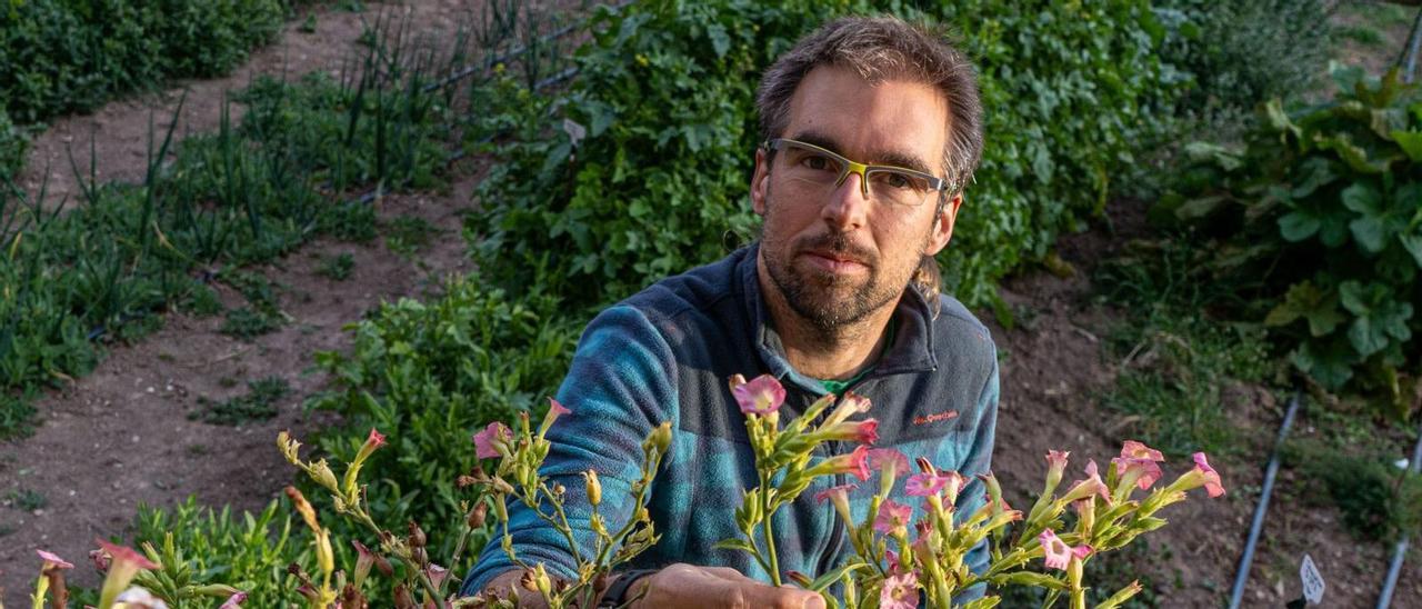 «Hem de produir per alimentar la població local»