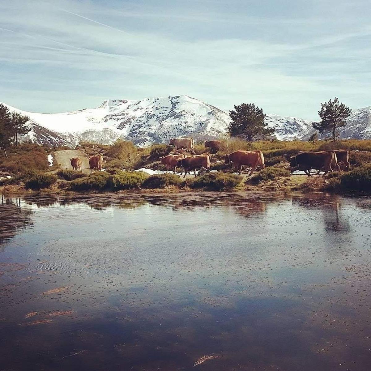 La aldea está rodeada por los picos nevados de Os Ancares.
