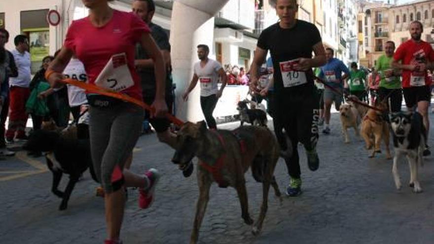 Protagonistas caninos en el cross de Segorbe