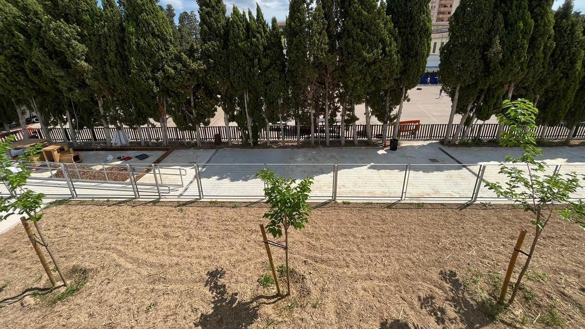 Manacor estudia ampliar el Molí den Xema o construir una nueva escuela.