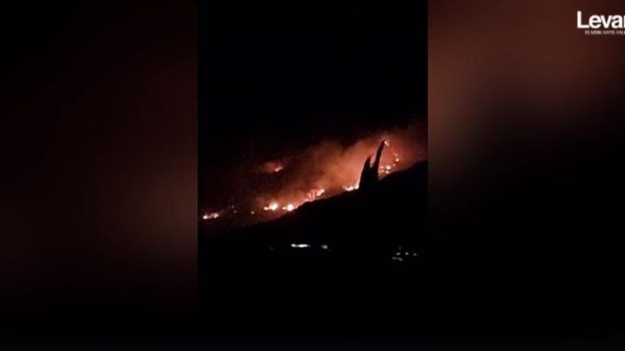 Las llamas devastan la Serra de Segària