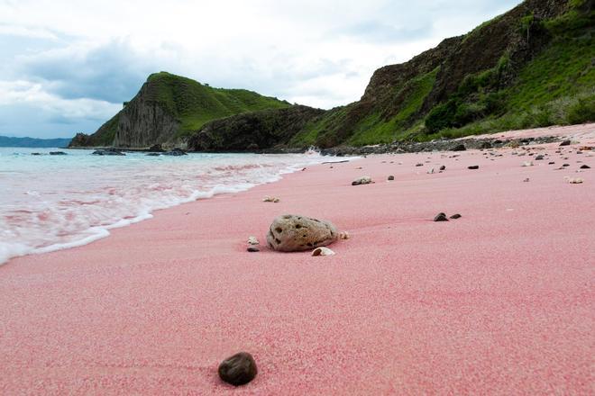 Pink Beach, Indonesia, Playas rosas