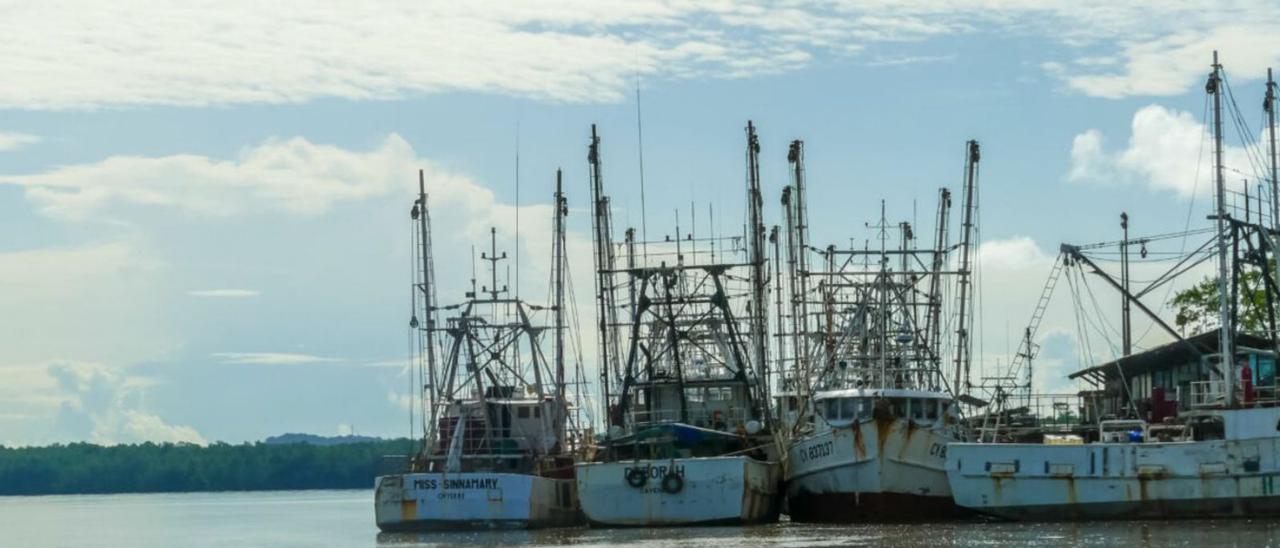 Buques pesqueros en Port du Larivot, en la Guyana francesa. |   // CACL