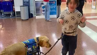 Prohíben a un niño con autismo entrar a un centro comercial de Valencia por ir con su perro de asistencia