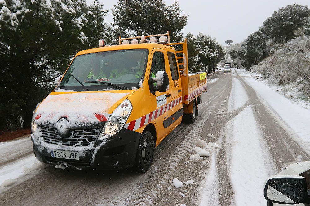 Las primeras nevadas llegan al Puerto del León, en los Montes de Málaga, que se sitúa a 900 metros de altura