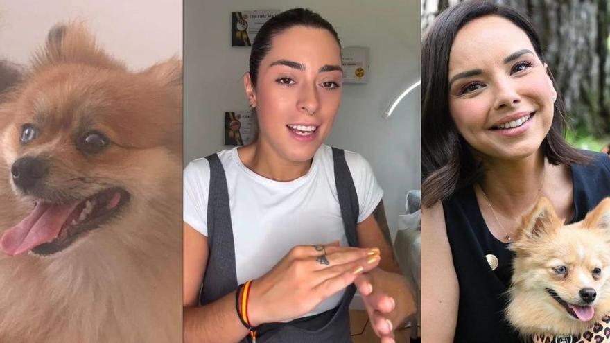 Habla Cristina, la mujer que cree haber reconocido a su perra en la que convive con Chenoa y pide una prueba de ADN