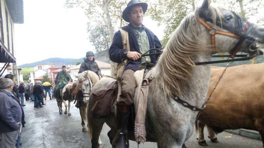 La feria ganadera de San Martín de Luiña, un éxito pese a la lluvia