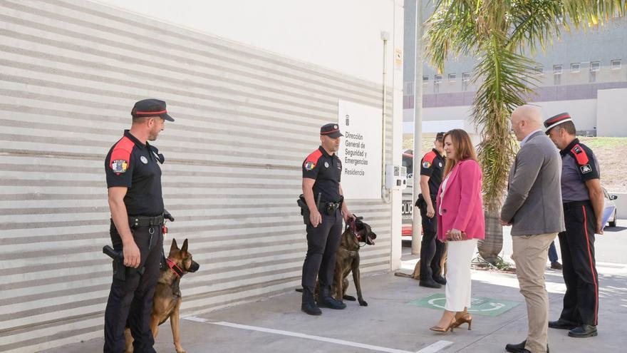 Exhibición de la Unidad Canina de la Policía Canaria