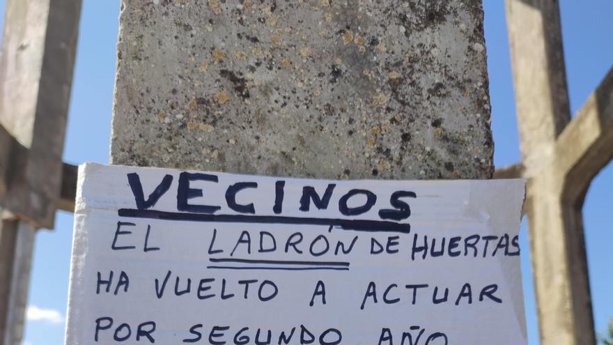 &quot;No robes lo que ha costado mucho trabajo&quot;, el mensaje contra los ladrones de huertos en Zamora