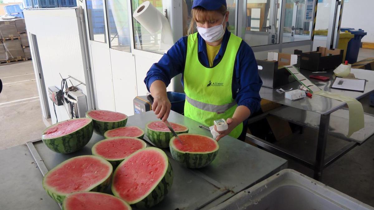 Ampliación de los protocolos de seguridad en el campo para proteger a los trabajadores