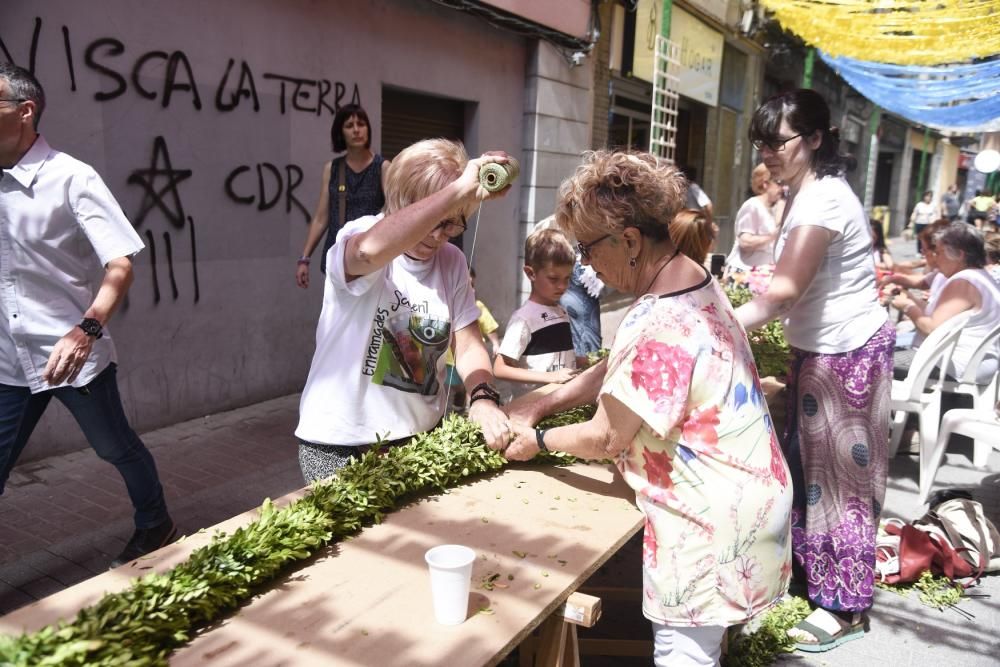 Enramades de Sallent 2019