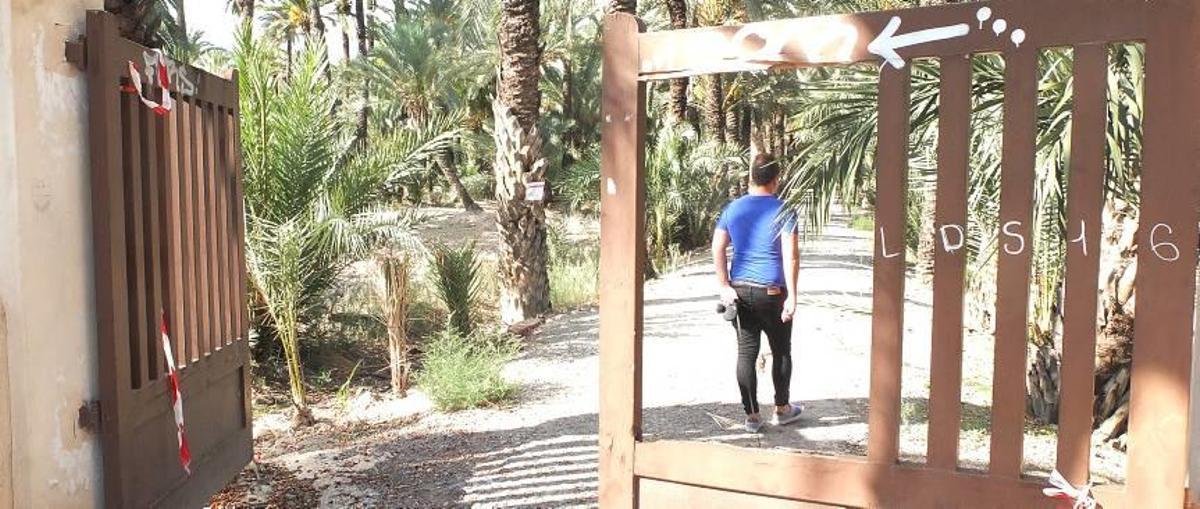 La ruta del Palmeral, abandonada