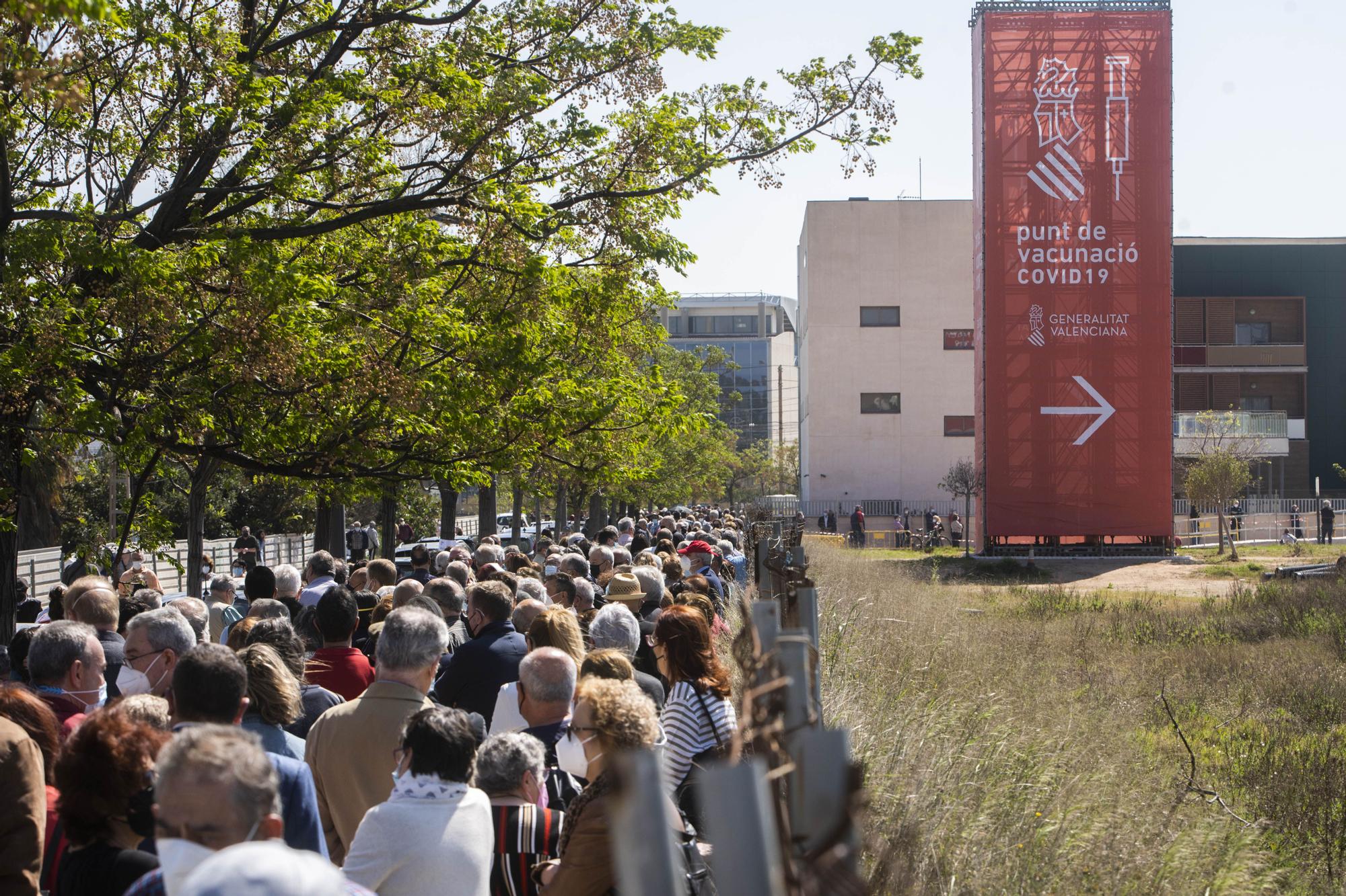 Largas colas al sol para vacunarse contra la COVID-19 en el hospital de campaña de La Fe