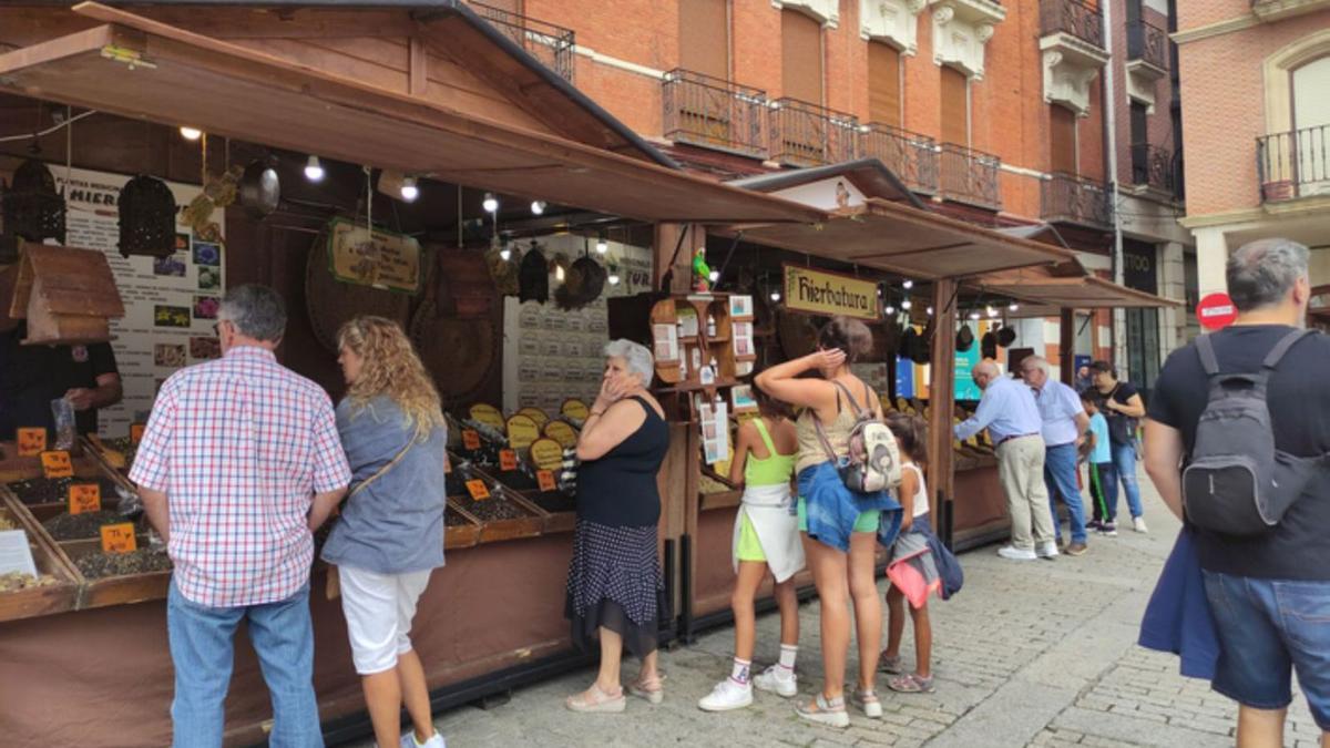 Casetas en la Feria de Productos de la Tierra de Benavente. / E. P.