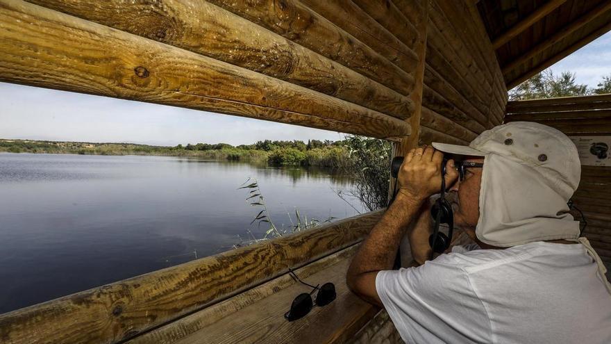 El Clot de Galvany cumple 18 años como paraje natural municipal con más de 20 actividades para 2024