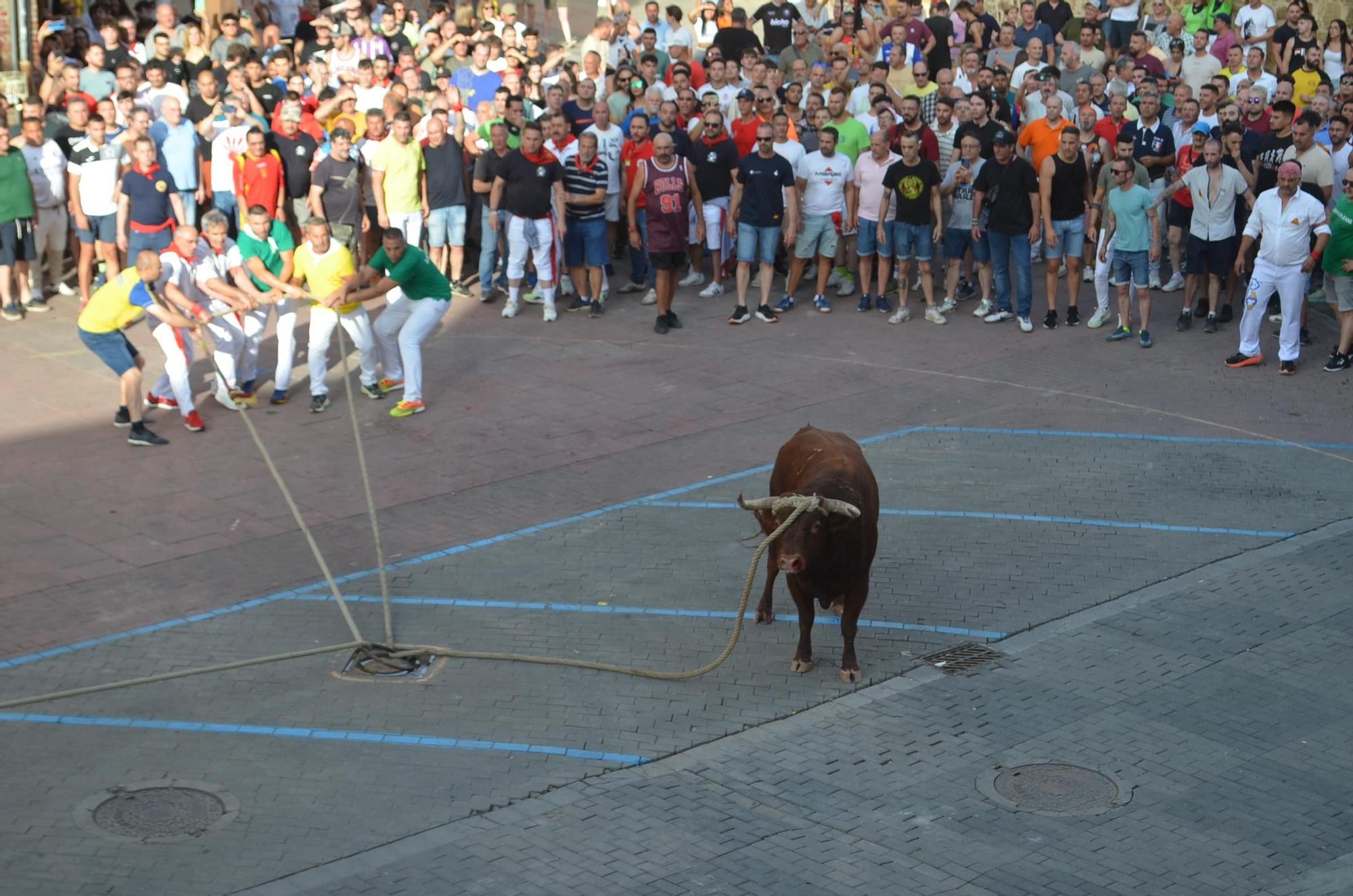 Así ha sido la carrera del torito Espléndido en Benavente