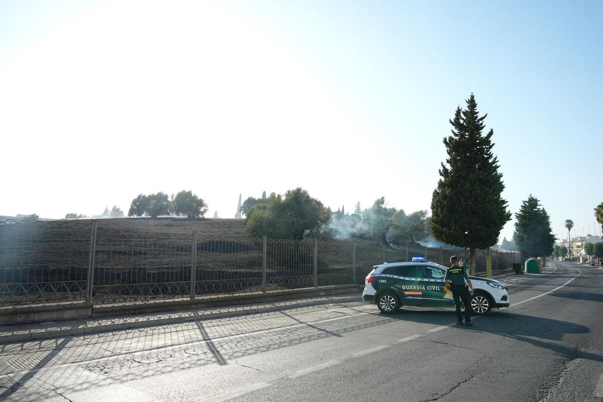 Bomberos trabajan en el Conjunto Arqueológico de Itálica para sofocar las llamas. A 8 de agosto de 2025 en Santiponce, Sevilla (Andalucía, España). El Consorcio provincial de Bomberos trabaja en un incendio declarado en el interior del recinto de Itálica
