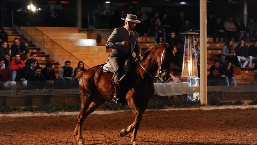 Espectáculo y elegancia en la prueba de Caballerizas Reales